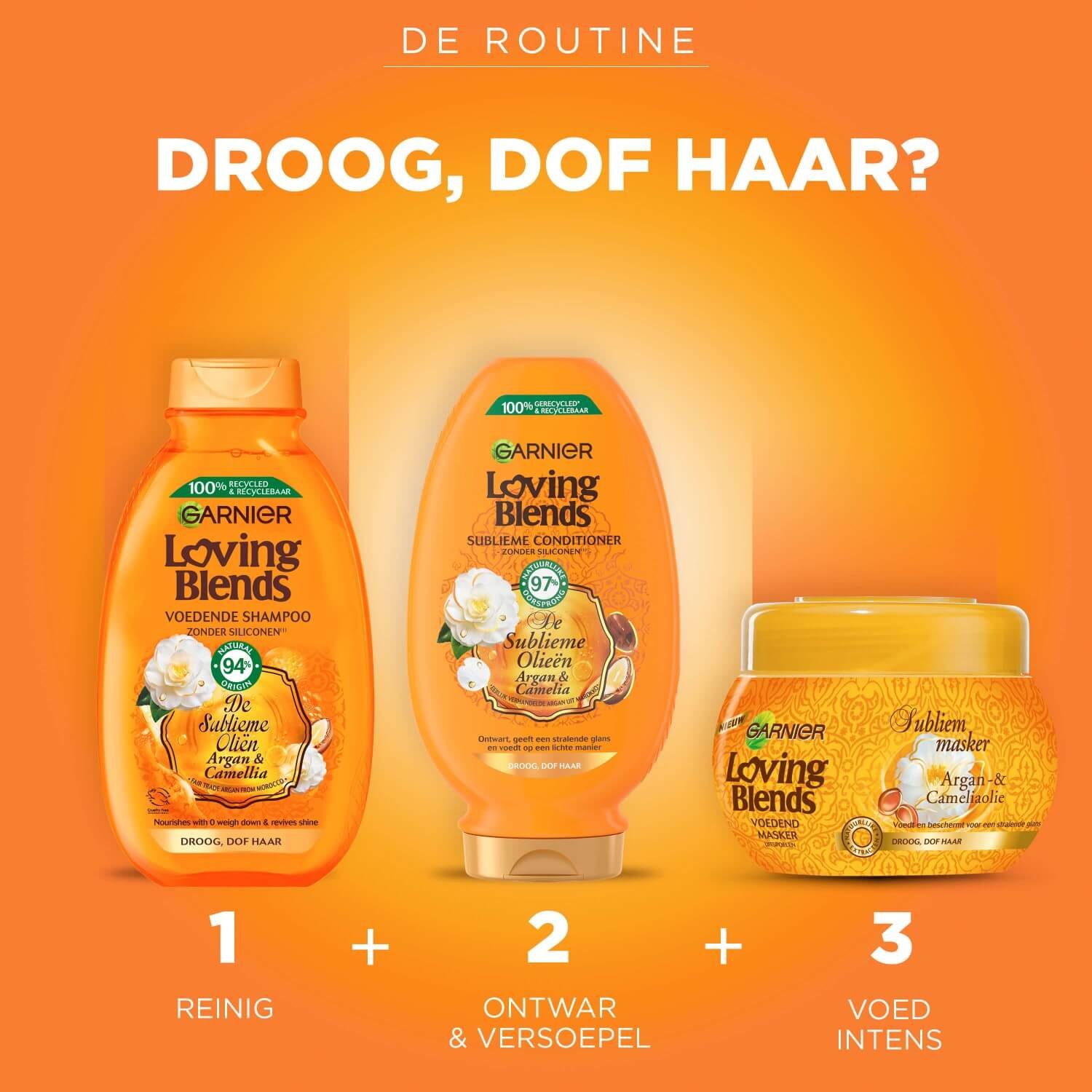 8039394 ARGAN Routine NLjpg master